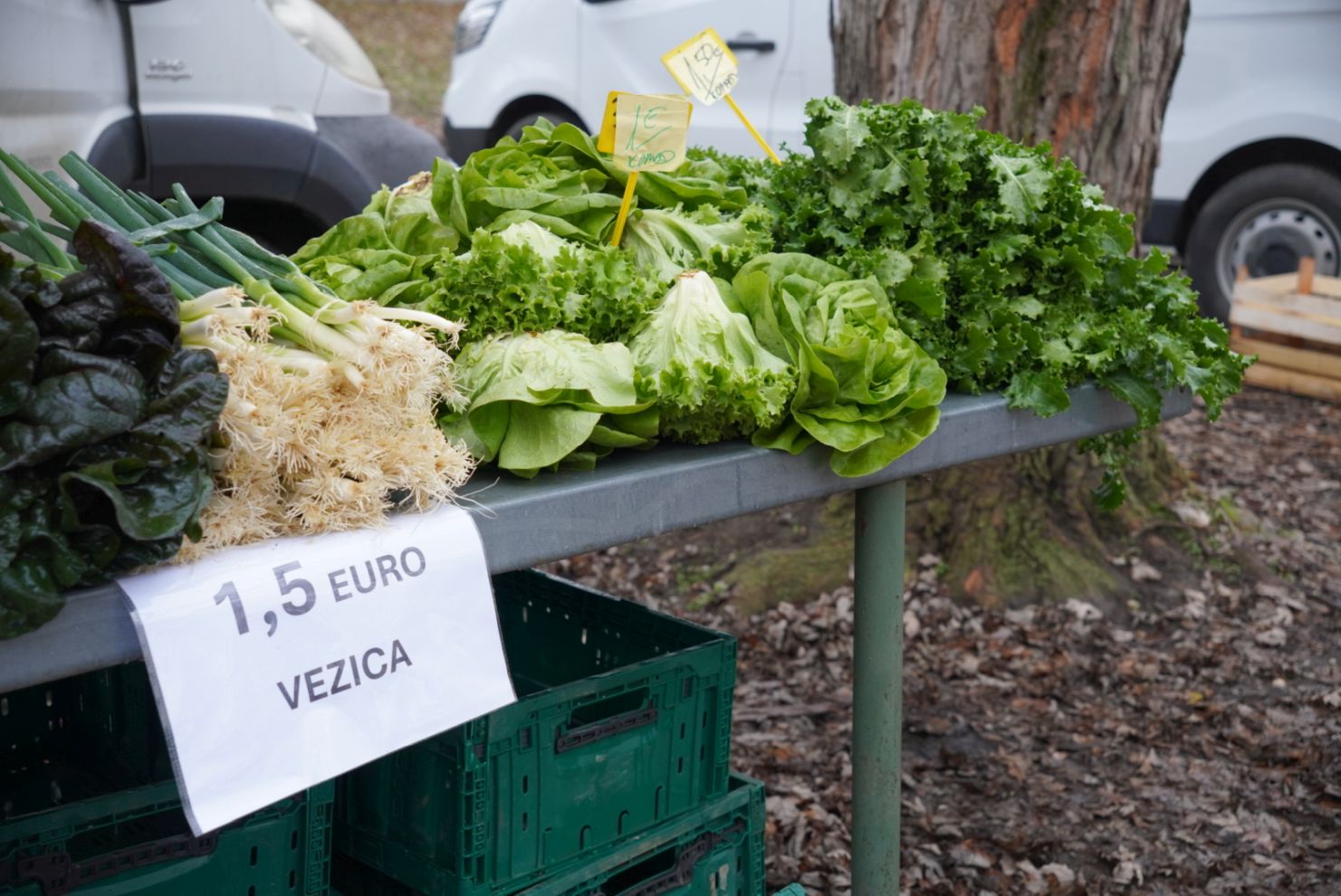 Sajam srijedom 17.12.2025 (34)