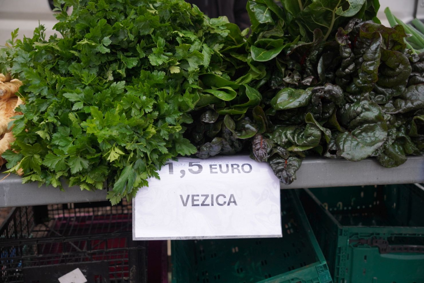 Sajam srijedom 17.12.2025 (35)