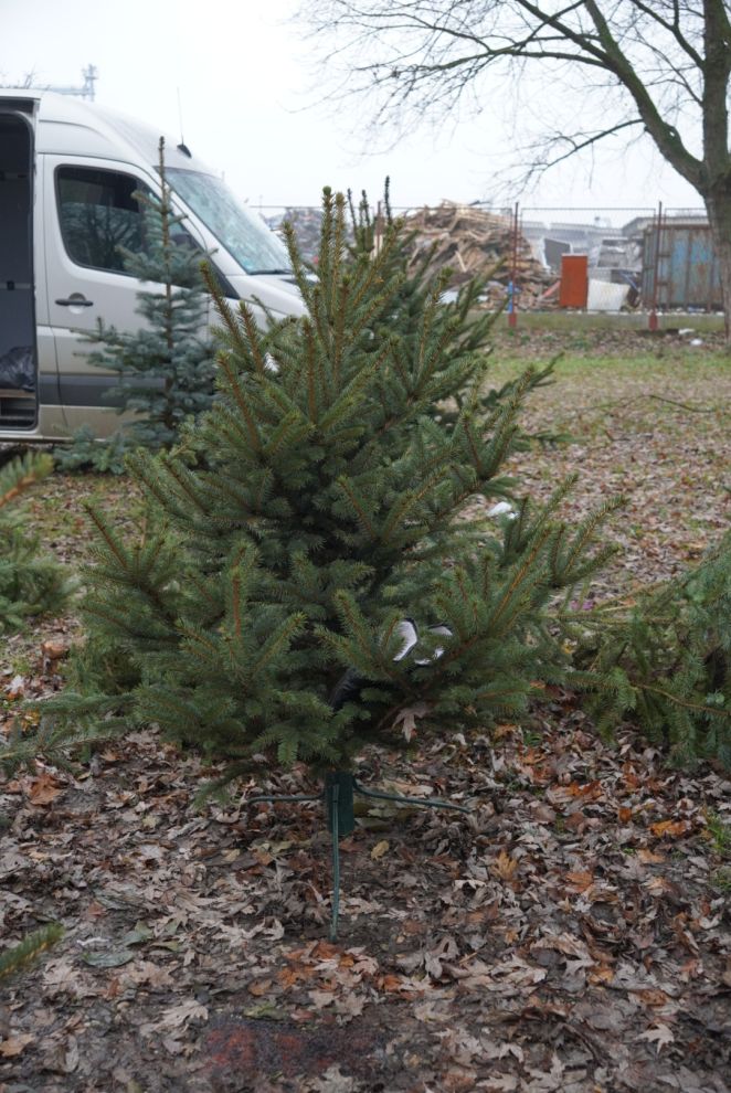 Sajam srijedom 17.12.2025 (39)