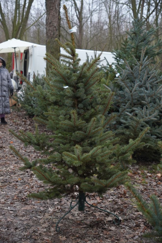 Sajam srijedom 17.12.2025 (40)