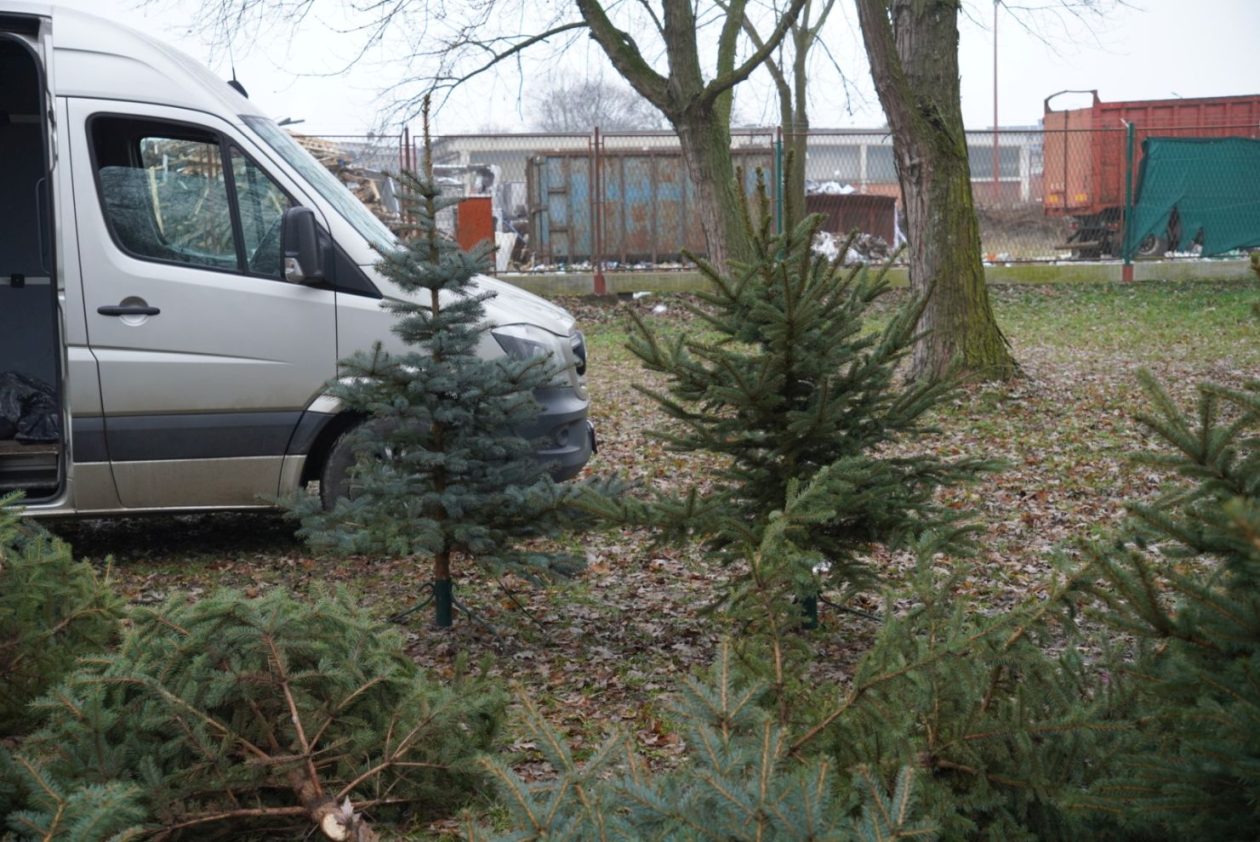 Sajam srijedom 17.12.2025 (41)