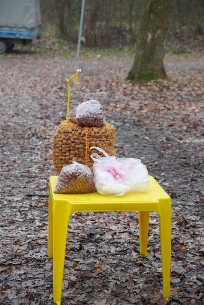 Sajam srijedom 17.12.2025 (45)