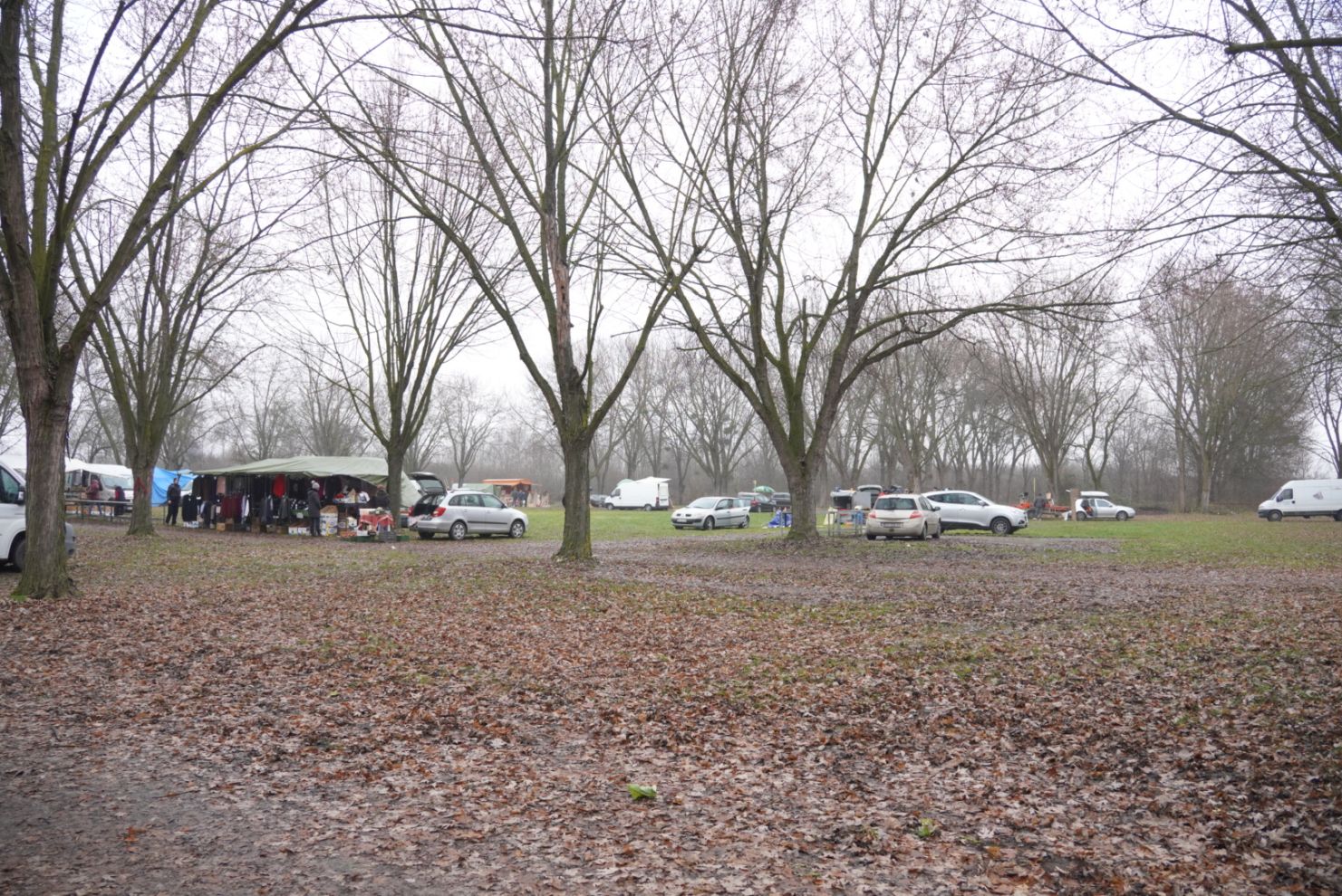 Sajam srijedom 17.12.2025 (48)