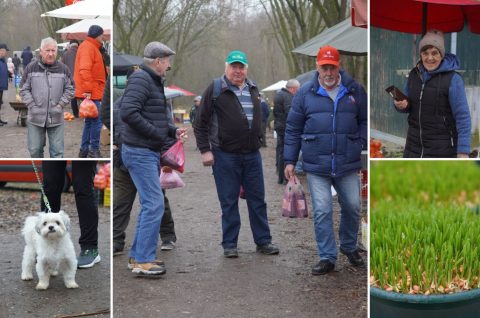 Sajam srijedom 17.12.2025. Sajam srijedom 17.12.2025.