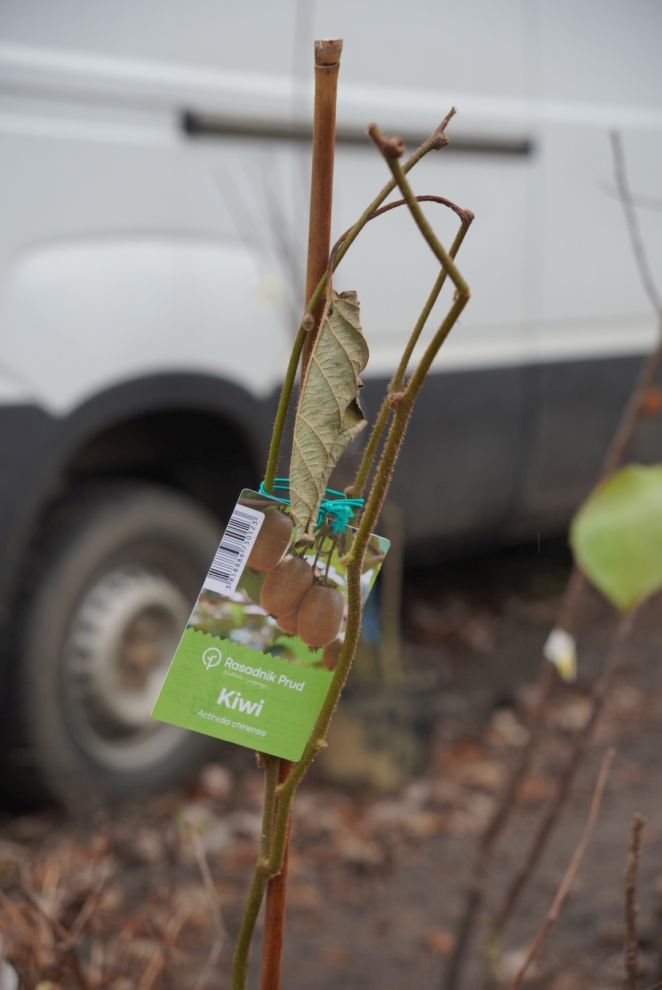 Sajam srijedom 17.12.2025 (5)