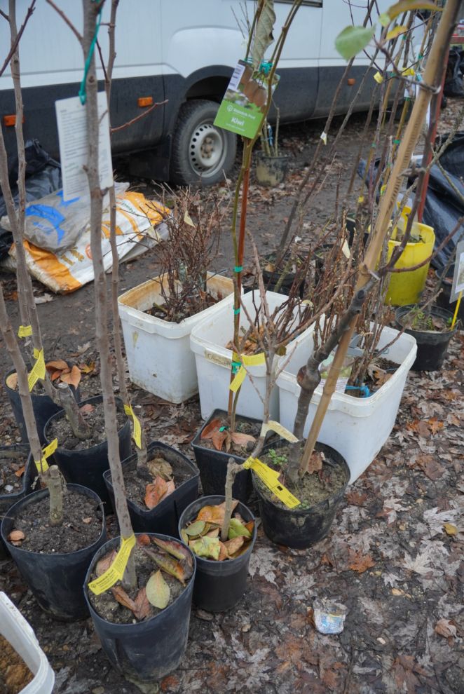 Sajam srijedom 17.12.2025 (6)