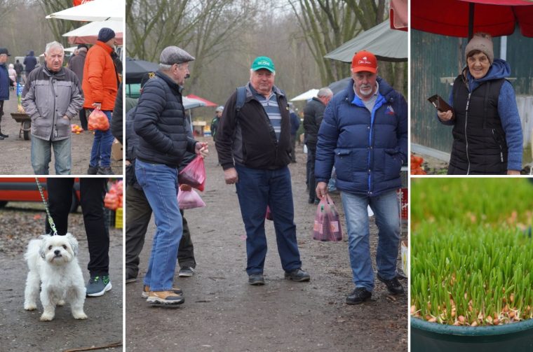 Sajam srijedom 17.12.2025.