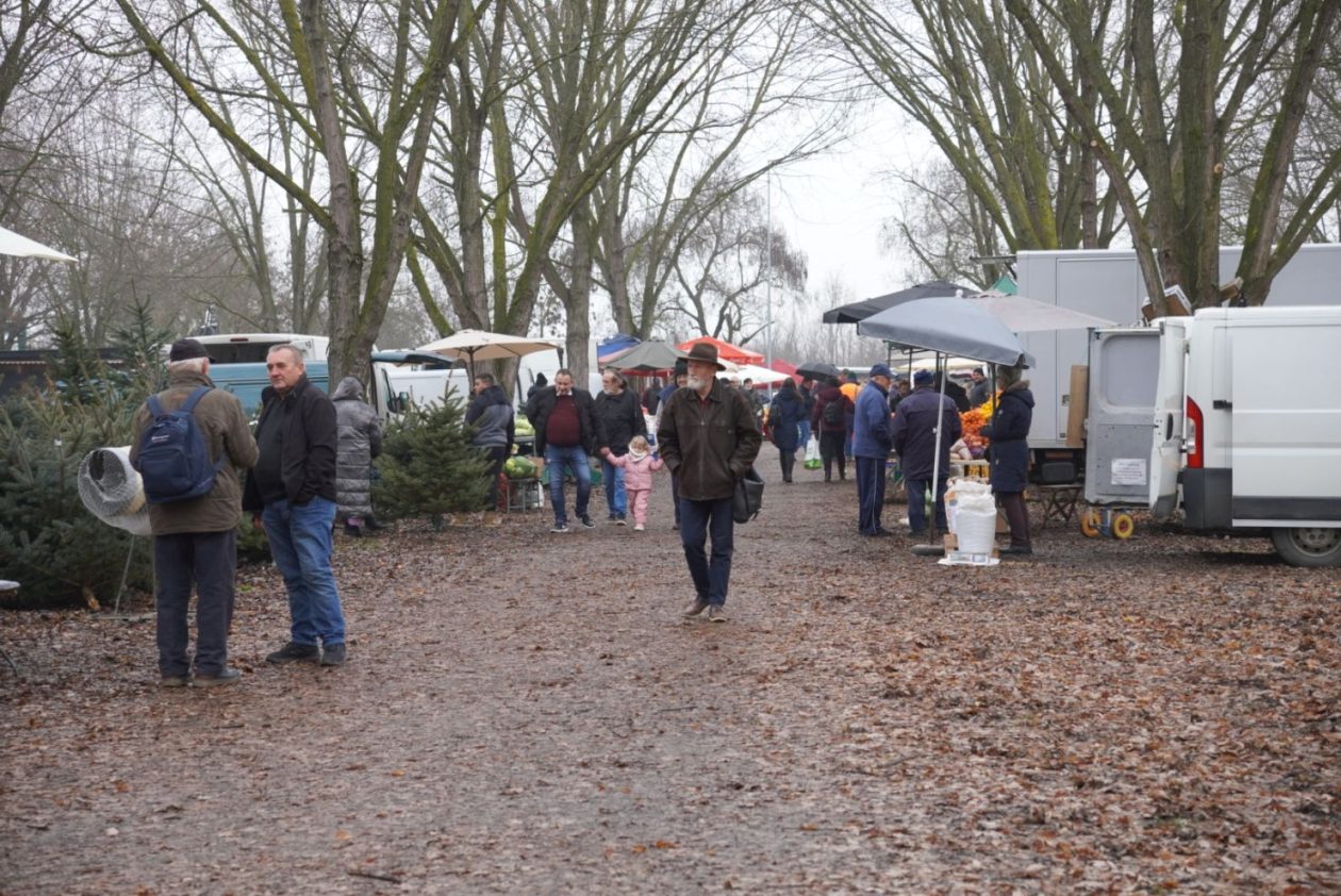 Sajam srijedom 17.12.2025 (8)