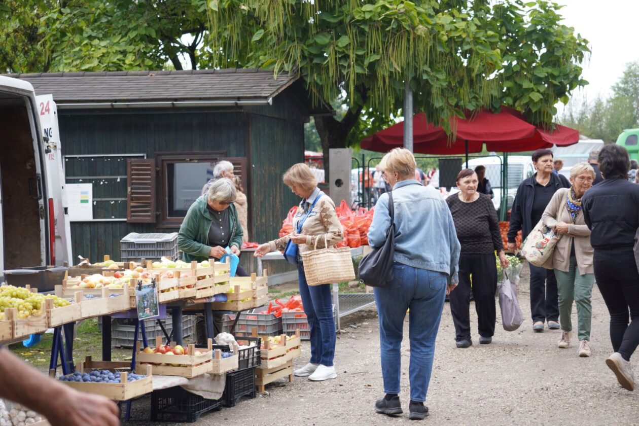 Sajam srijedom 17.9.2025 (1) Sajam srijedom 17.9.2025 (1)