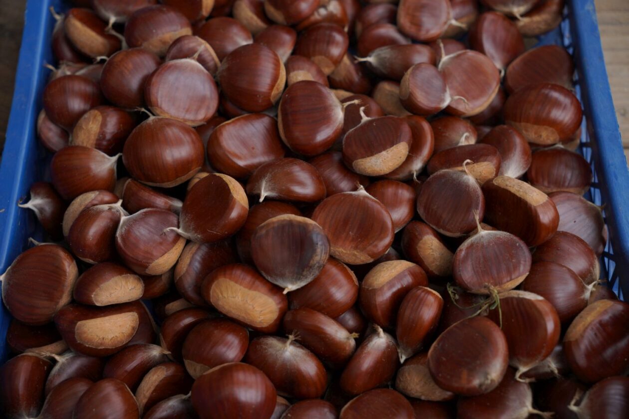 Sajam srijedom 17.9.2025 (18) Sajam srijedom 17.9.2025 (18)