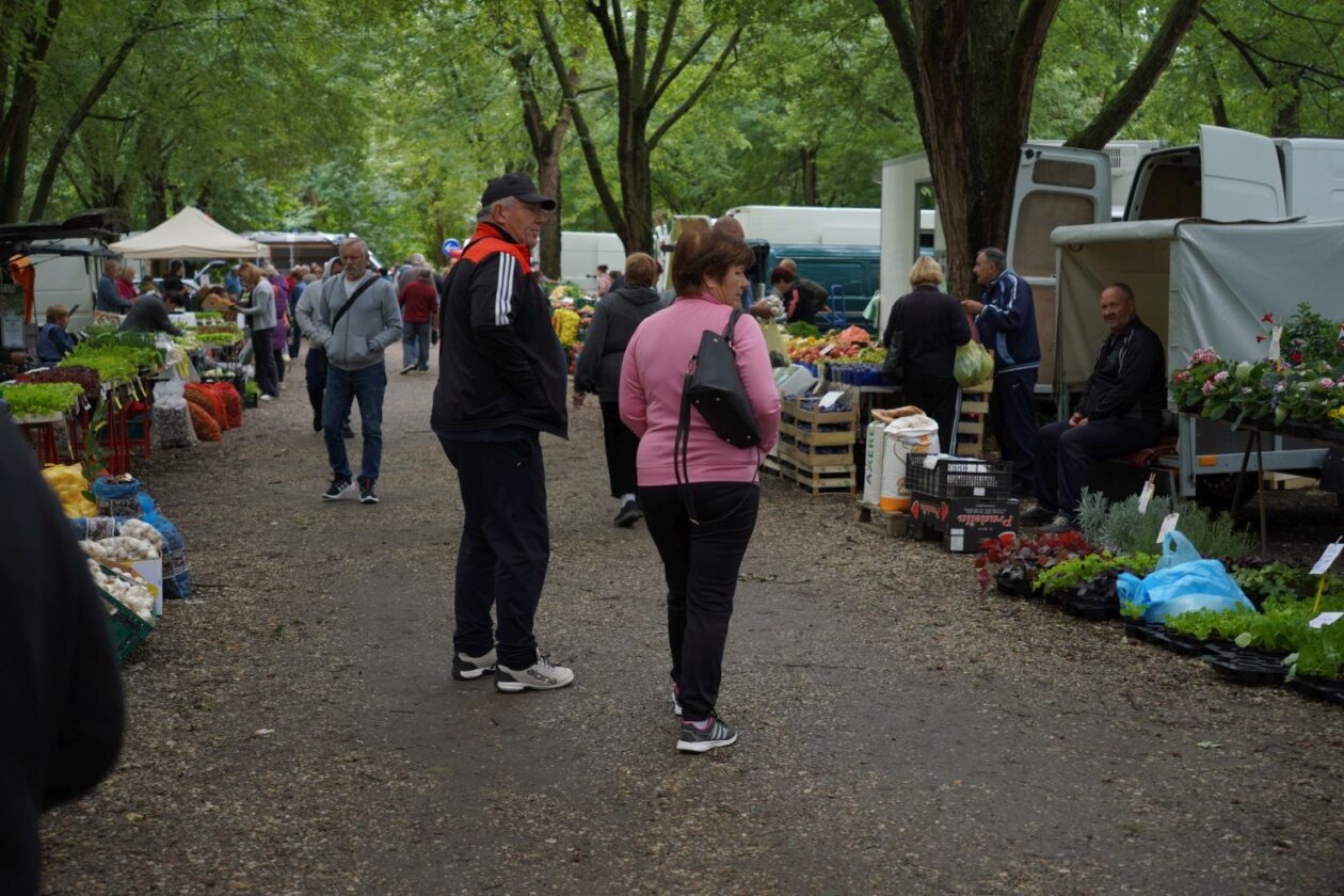 Sajam srijedom 17.9.2025 (22) Sajam srijedom 17.9.2025 (22)