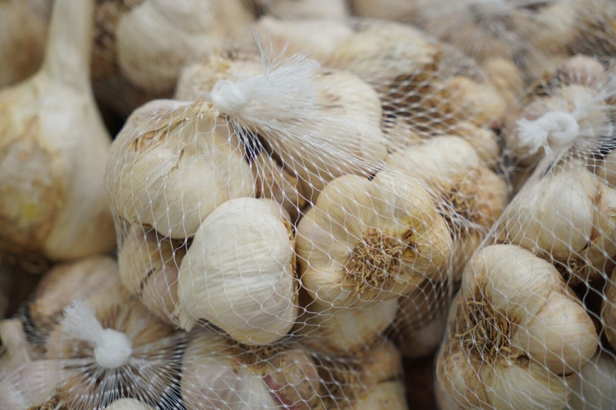 Sajam srijedom 17.9.2025 (27) Sajam srijedom 17.9.2025 (27)