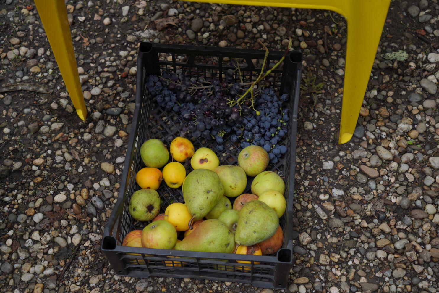 Sajam srijedom 17.9.2025 (29) Sajam srijedom 17.9.2025 (29)