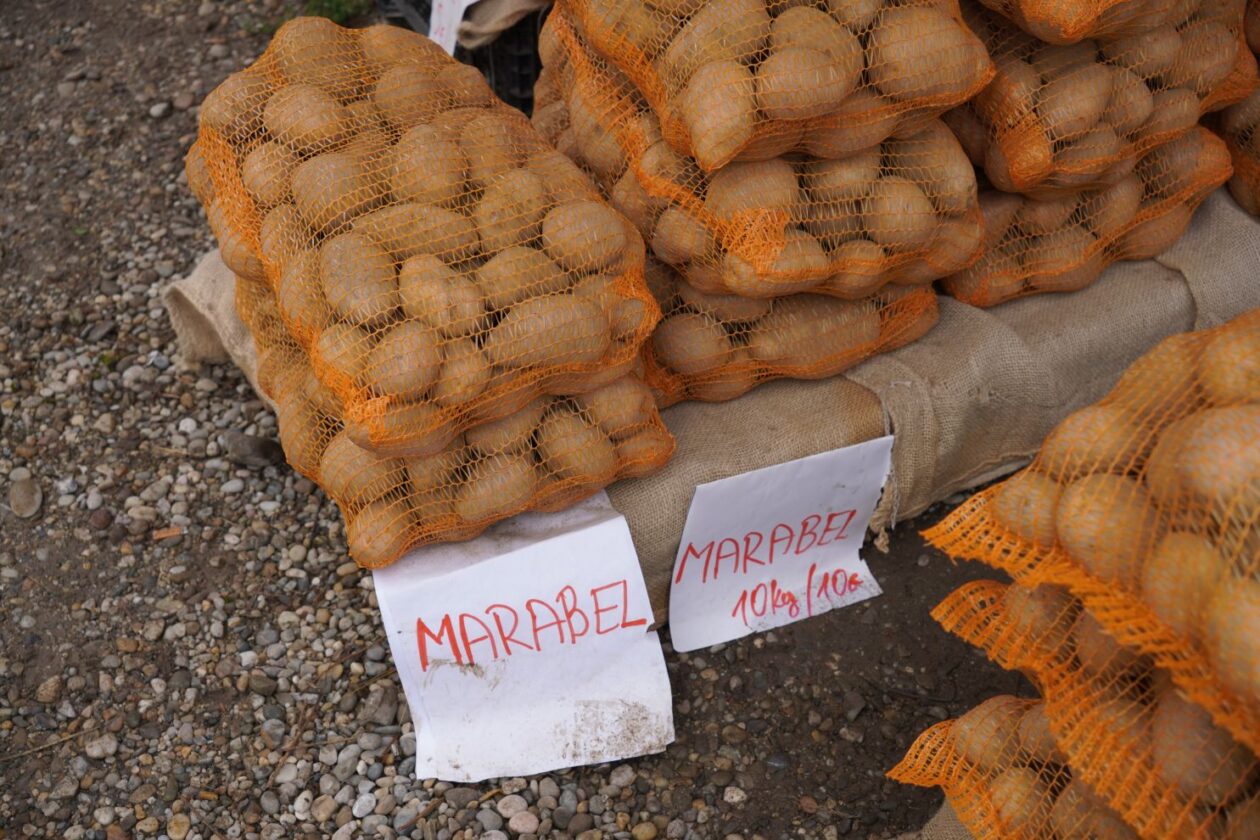 Sajam srijedom 17.9.2025 (3) Sajam srijedom 17.9.2025 (3)