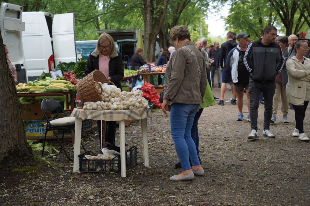 Sajam srijedom 17.9.2025 (30) Sajam srijedom 17.9.2025 (30)