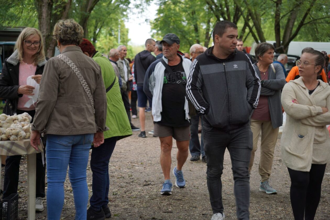 Sajam srijedom 17.9.2025 (31) Sajam srijedom 17.9.2025 (31)