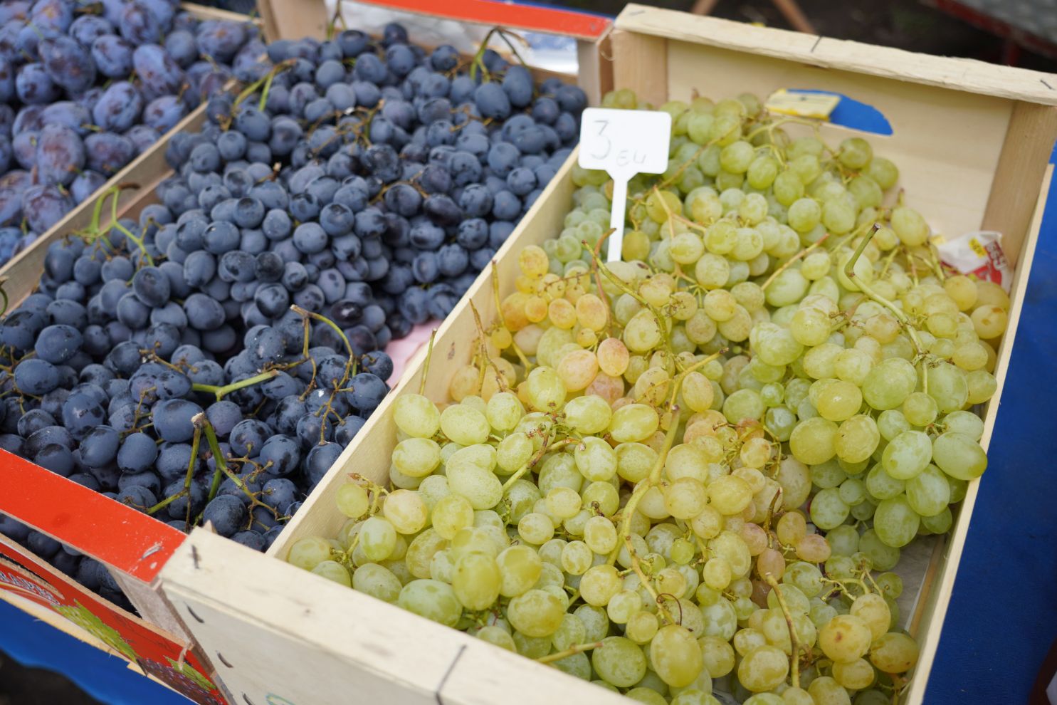 Sajam srijedom 17.9.2025 (33) Sajam srijedom 17.9.2025 (33)