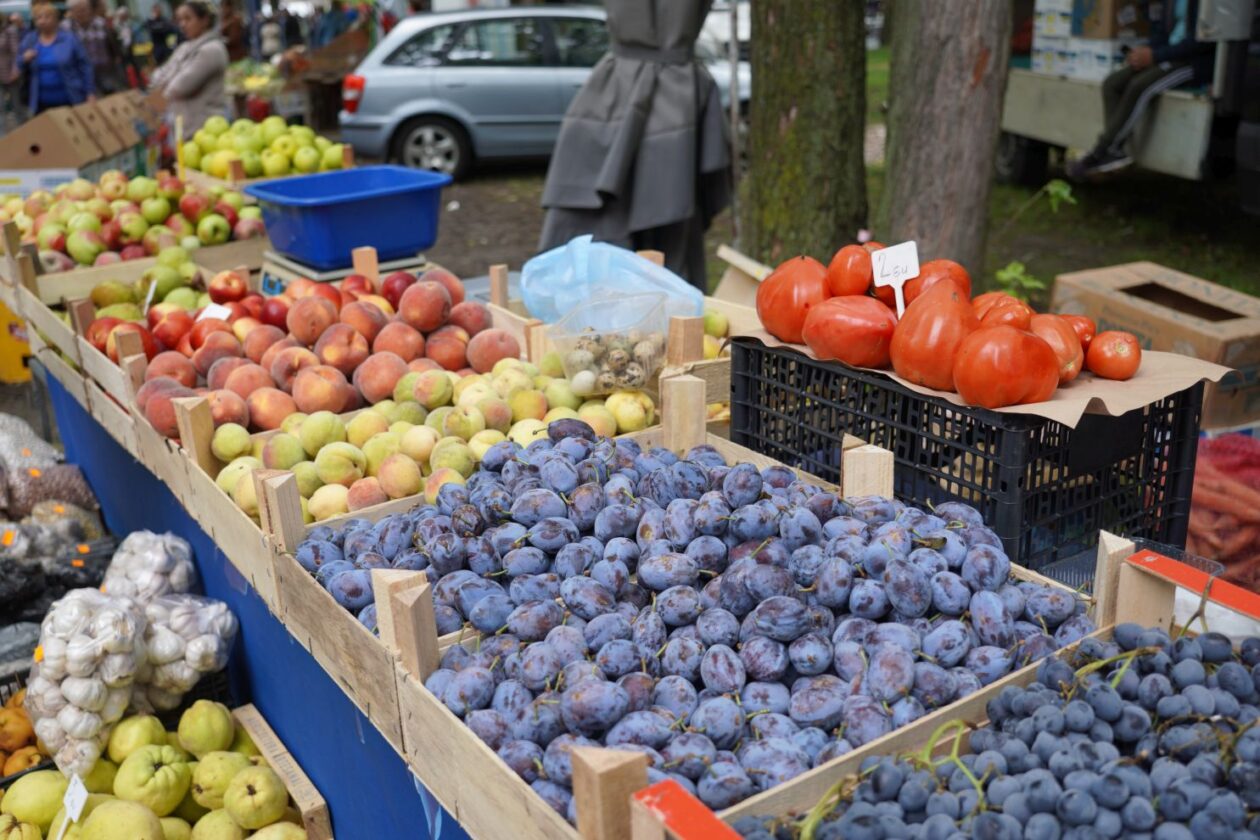 Sajam srijedom 17.9.2025 (34) Sajam srijedom 17.9.2025 (34)