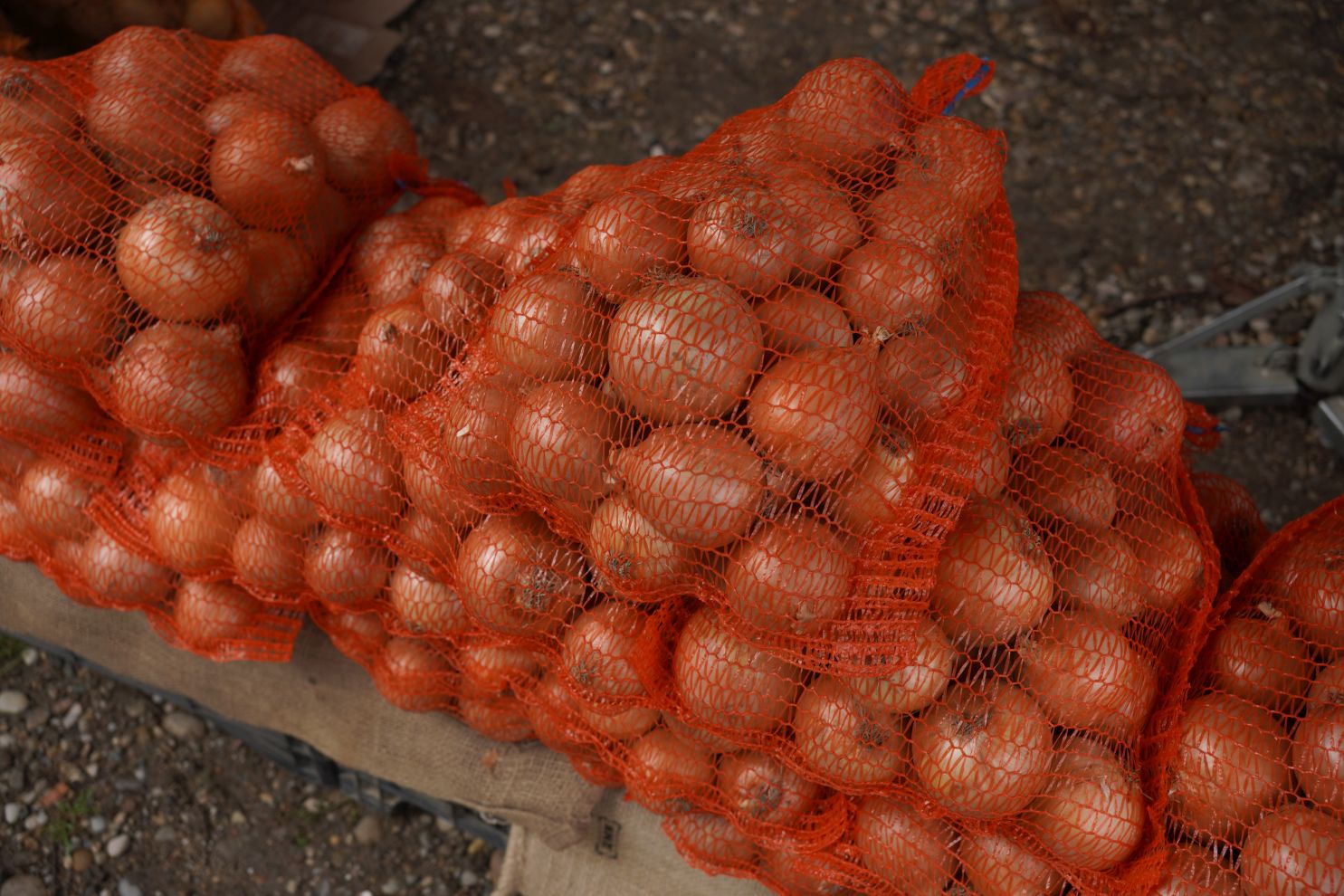 Sajam srijedom 17.9.2025 (5) Sajam srijedom 17.9.2025 (5)