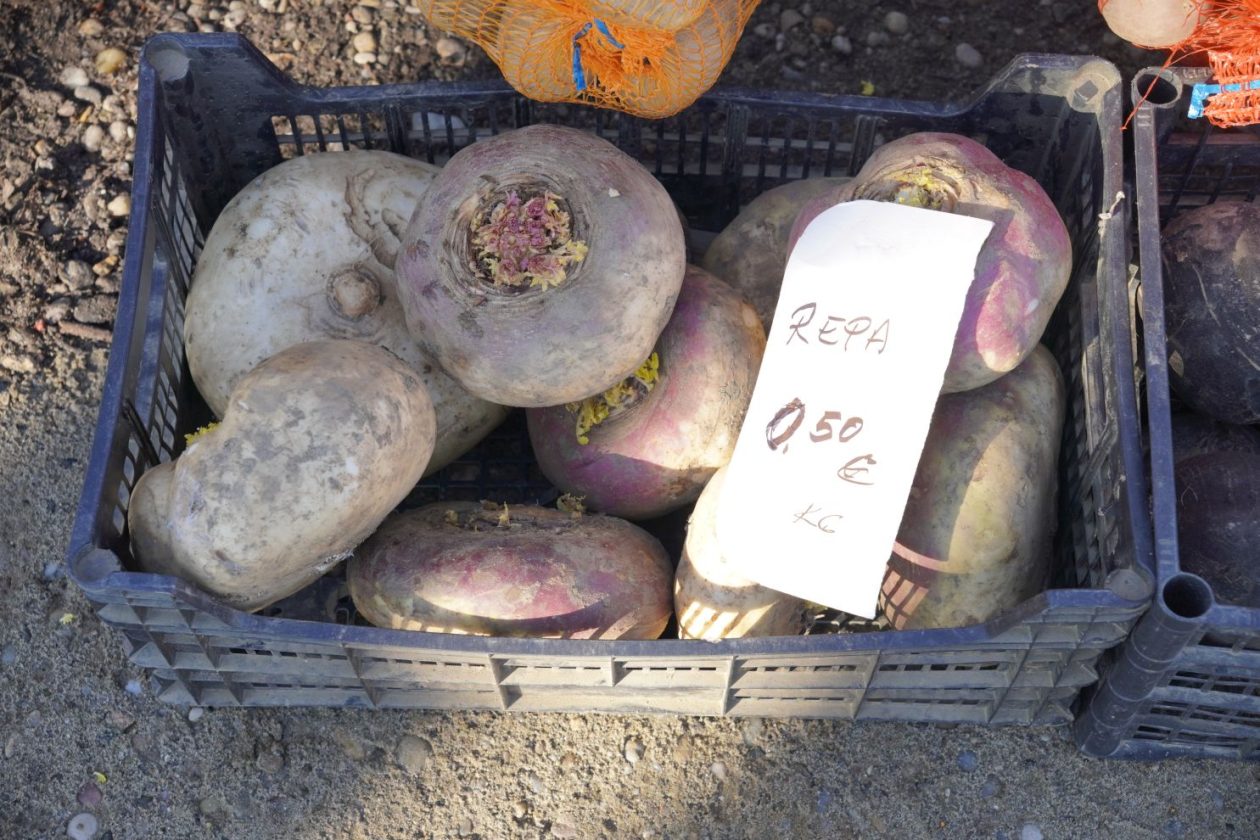 Sajam srijedom 18.2.2026 (13)