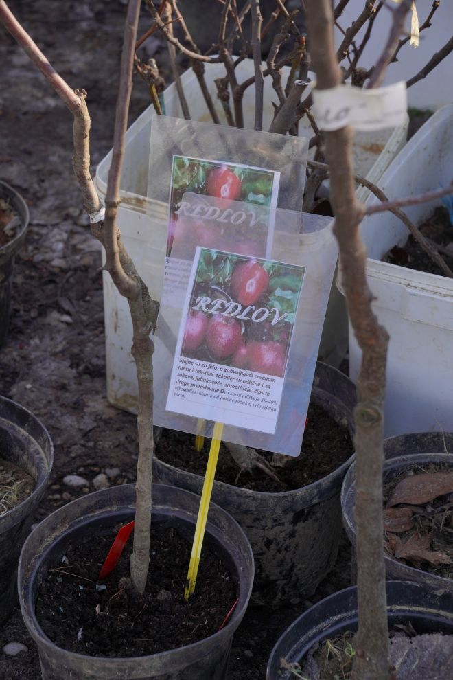 Sajam srijedom 18.2.2026 (30)