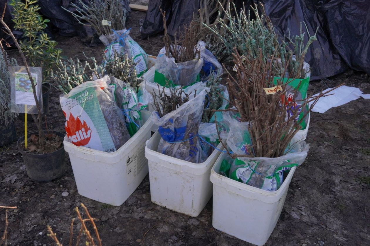 Sajam srijedom 18.2.2026 (31)