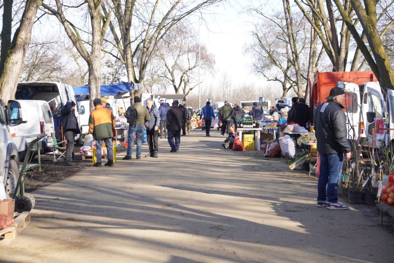 Sajam srijedom 18.2.2026 (38)