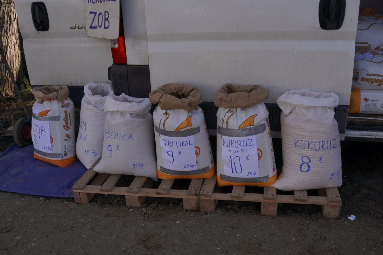 Sajam srijedom 18.2.2026 (40)