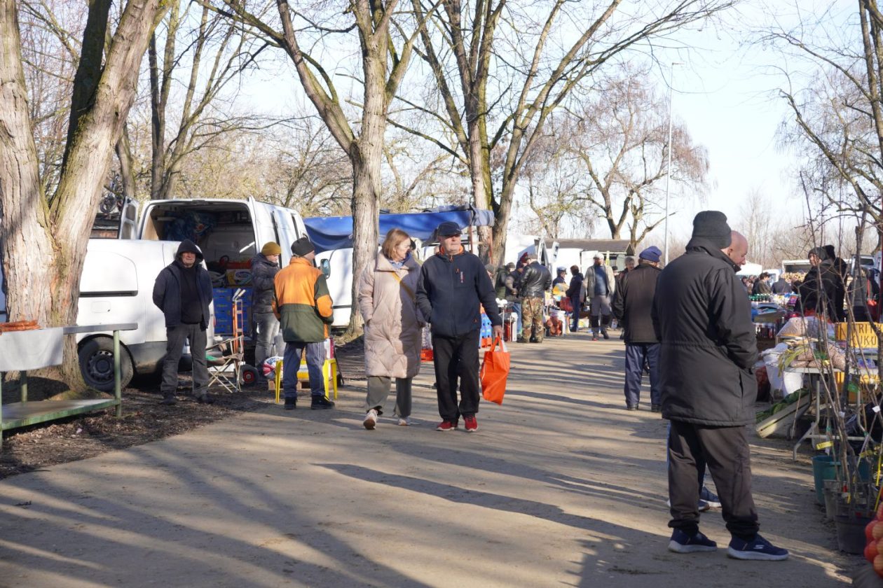 Sajam srijedom 18.2.2026 (42)