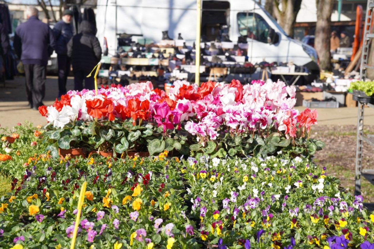 Sajam srijedom 18.2.2026 (56)