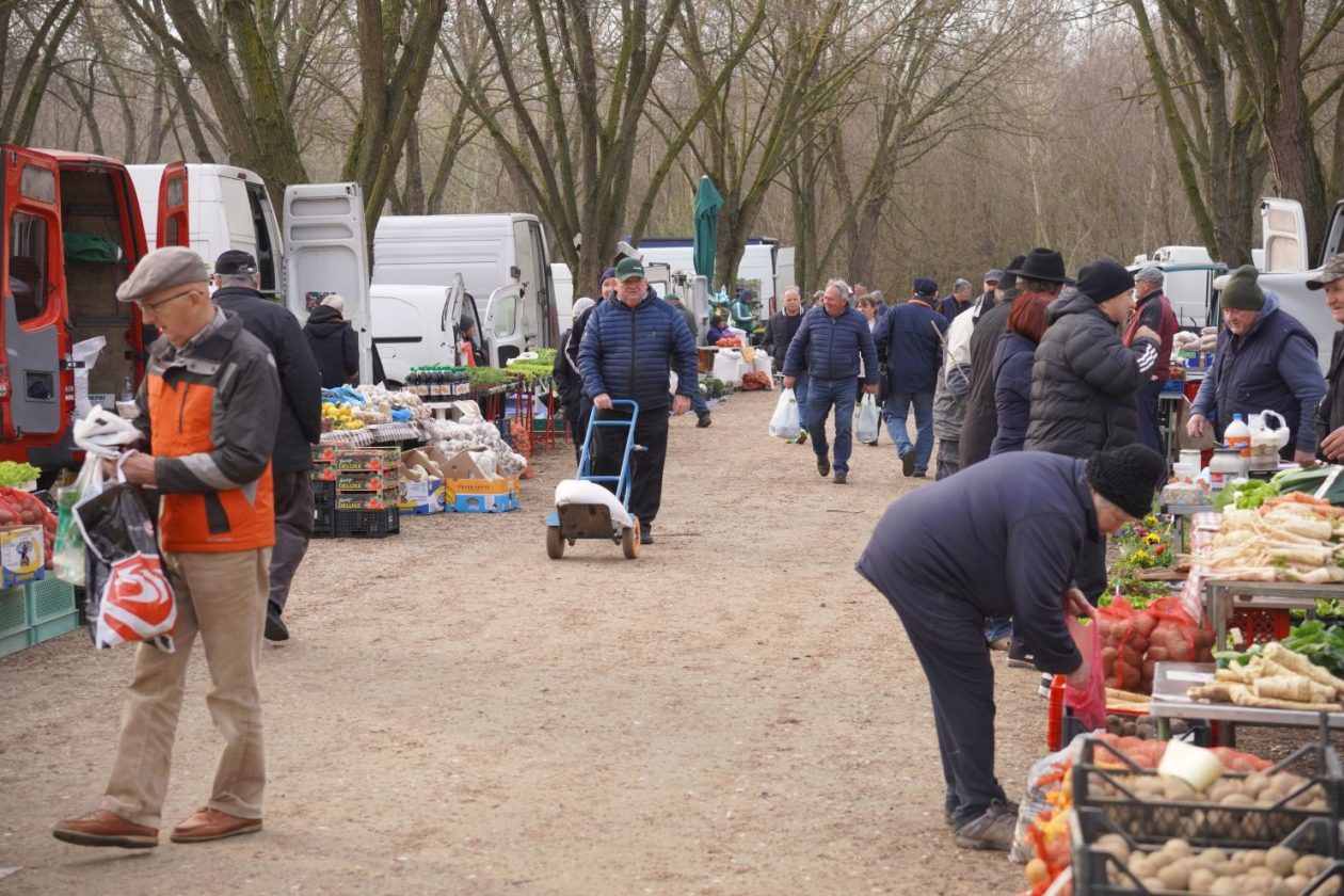 Sajam srijedom 18.3.2026 (11)