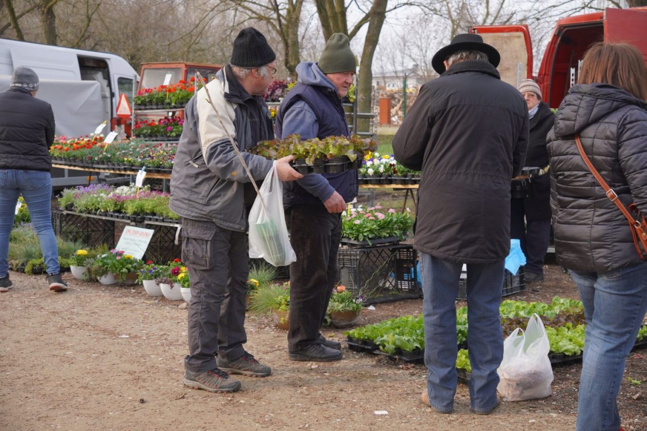 Sajam srijedom 18.3.2026 (13)