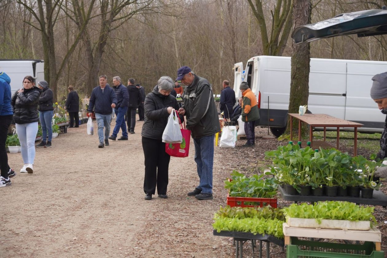 Sajam srijedom 18.3.2026 (18)
