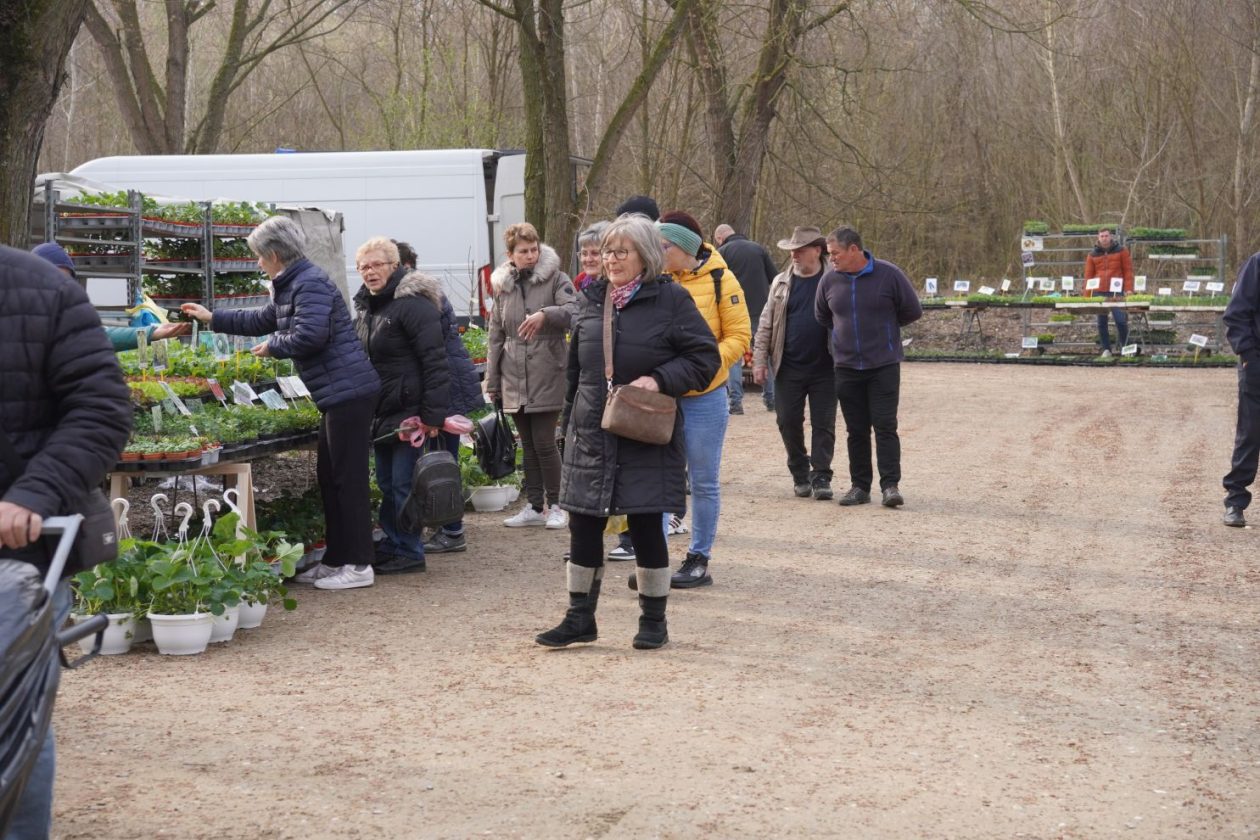 Sajam srijedom 18.3.2026 (22)