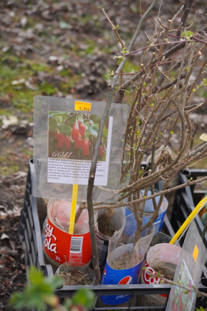 Sajam srijedom 18.3.2026 (25)