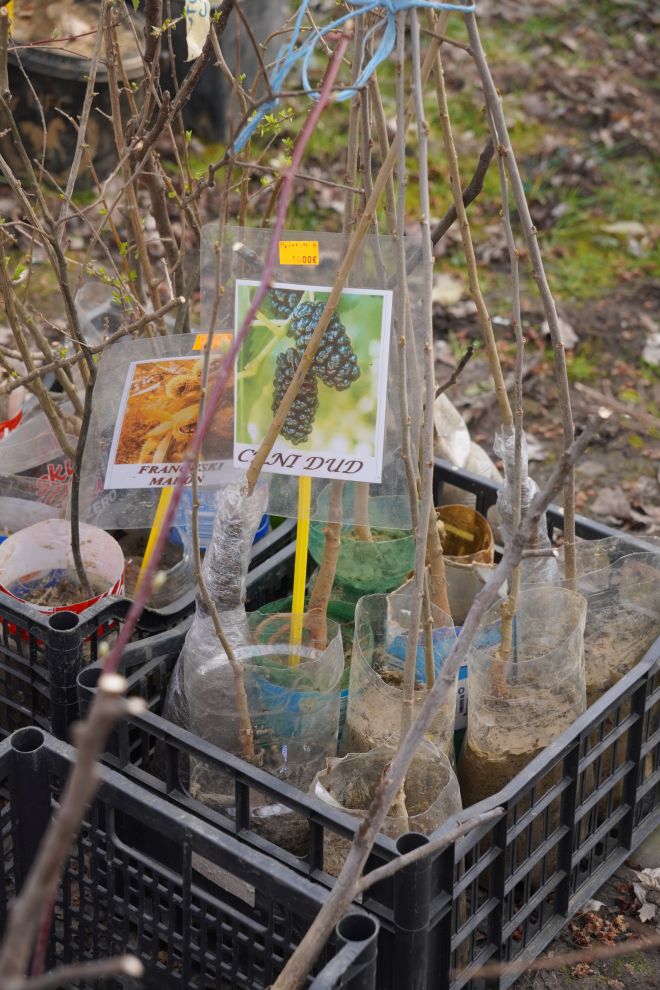 Sajam srijedom 18.3.2026 (26)