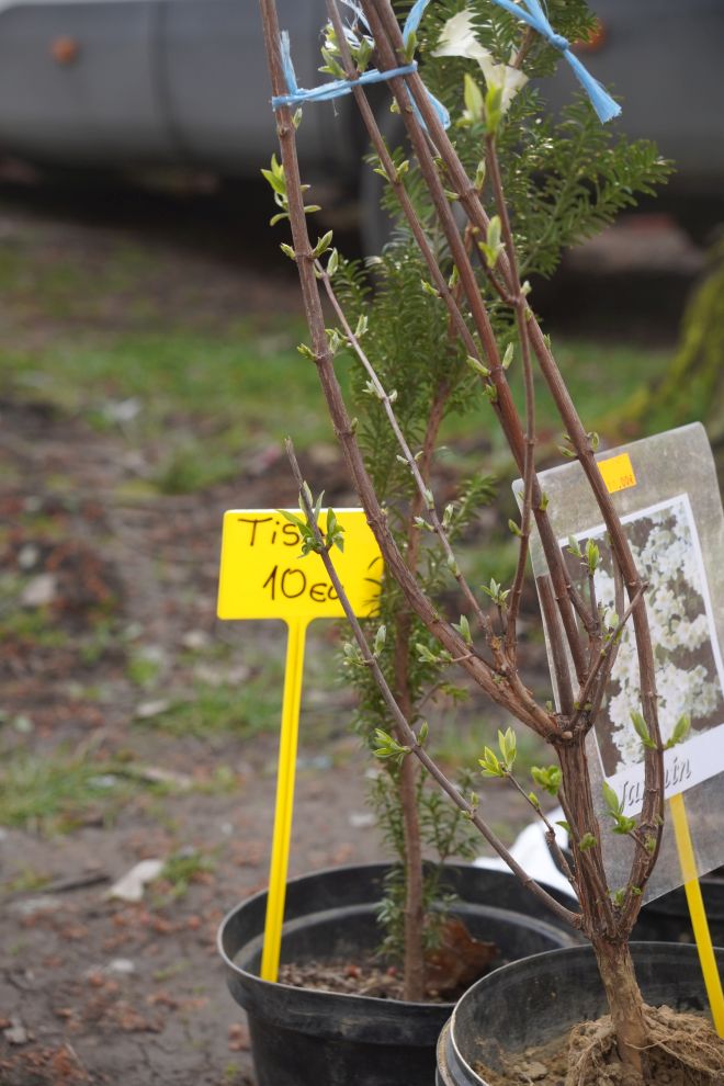 Sajam srijedom 18.3.2026 (27)
