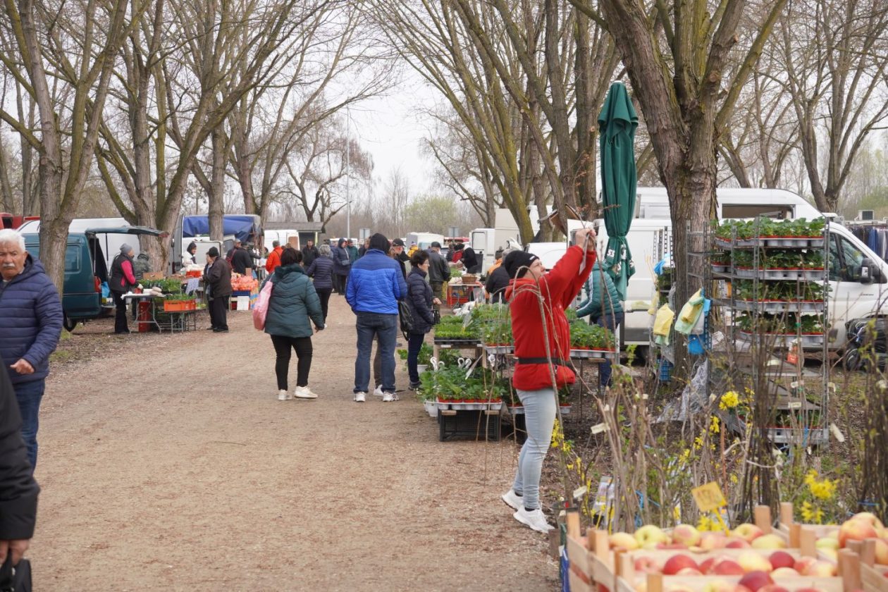 Sajam srijedom 18.3.2026 (30)