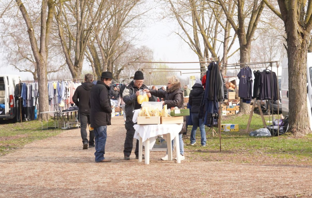 Sajam srijedom 18.3.2026 (33)