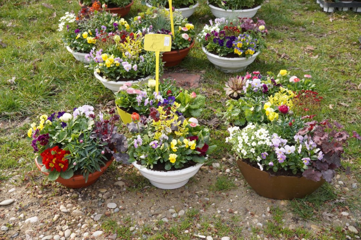 Sajam srijedom 18.3.2026 (36)