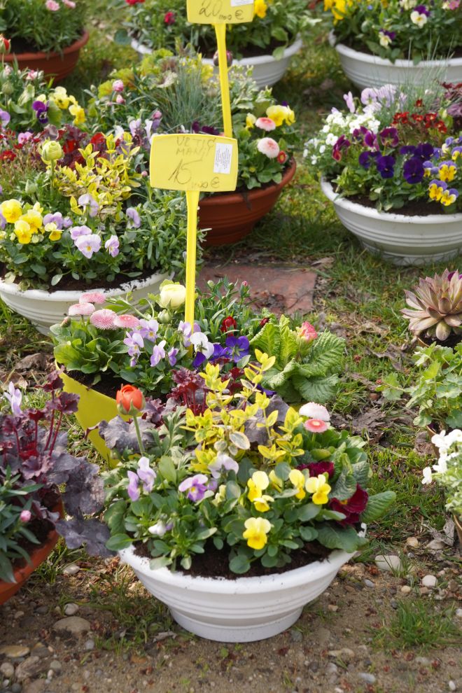 Sajam srijedom 18.3.2026 (37)