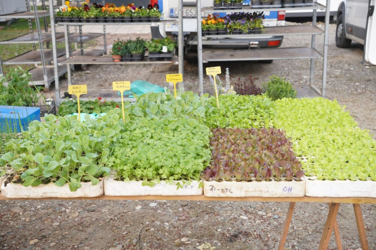 Sajam srijedom 18.3.2026 (7)