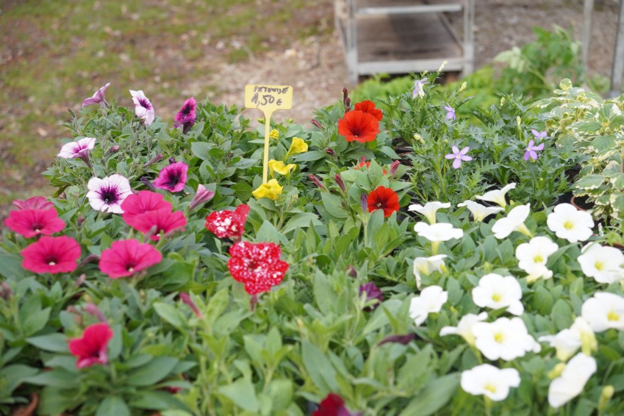 Sajam srijedom 18.3.2026 (8)