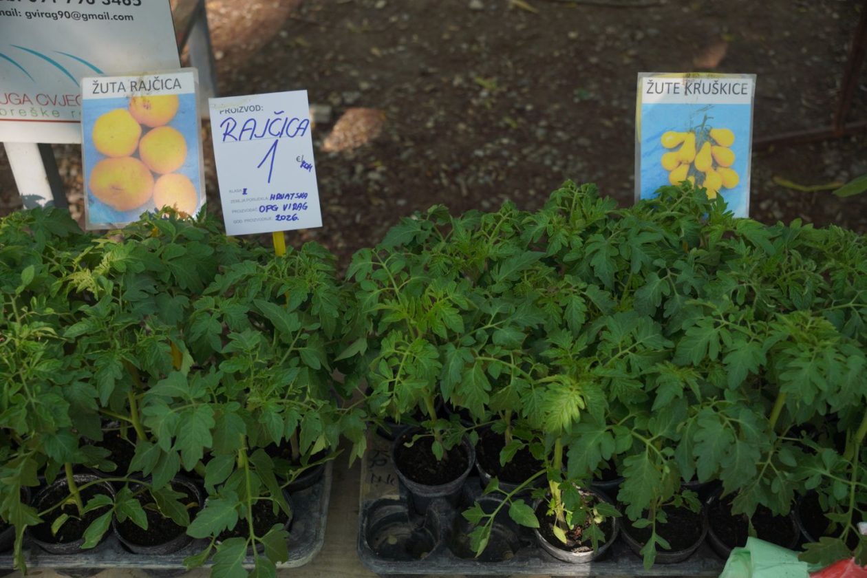 Sajam srijedom 22.4.2026 (33)