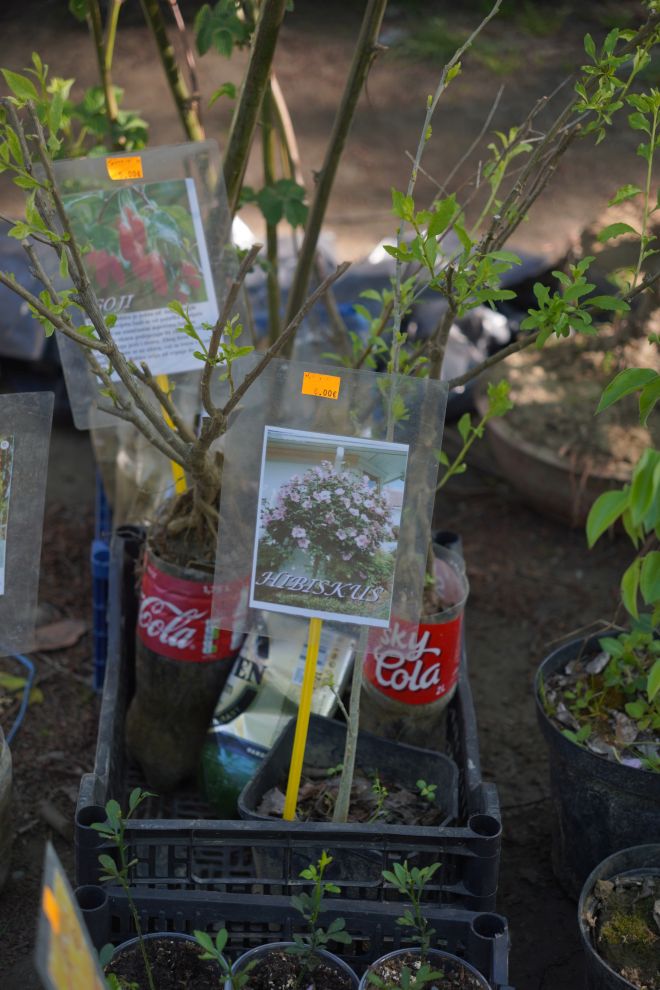 Sajam srijedom 22.4.2026 (6)