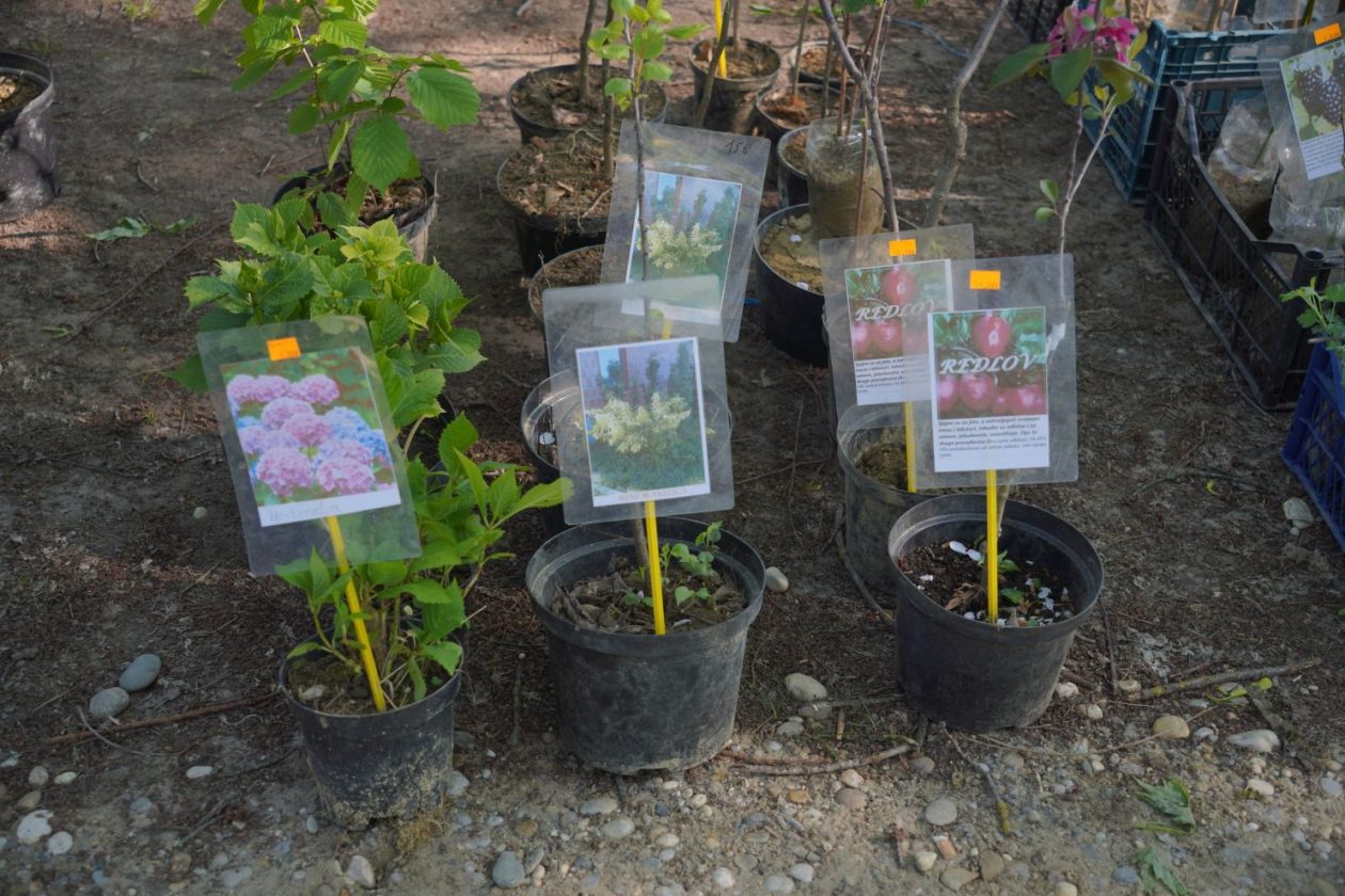 Sajam srijedom 22.4.2026 (8)