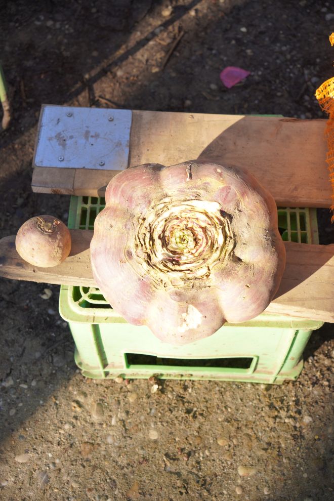 Sajam srijedom 25.2.2026 (16)