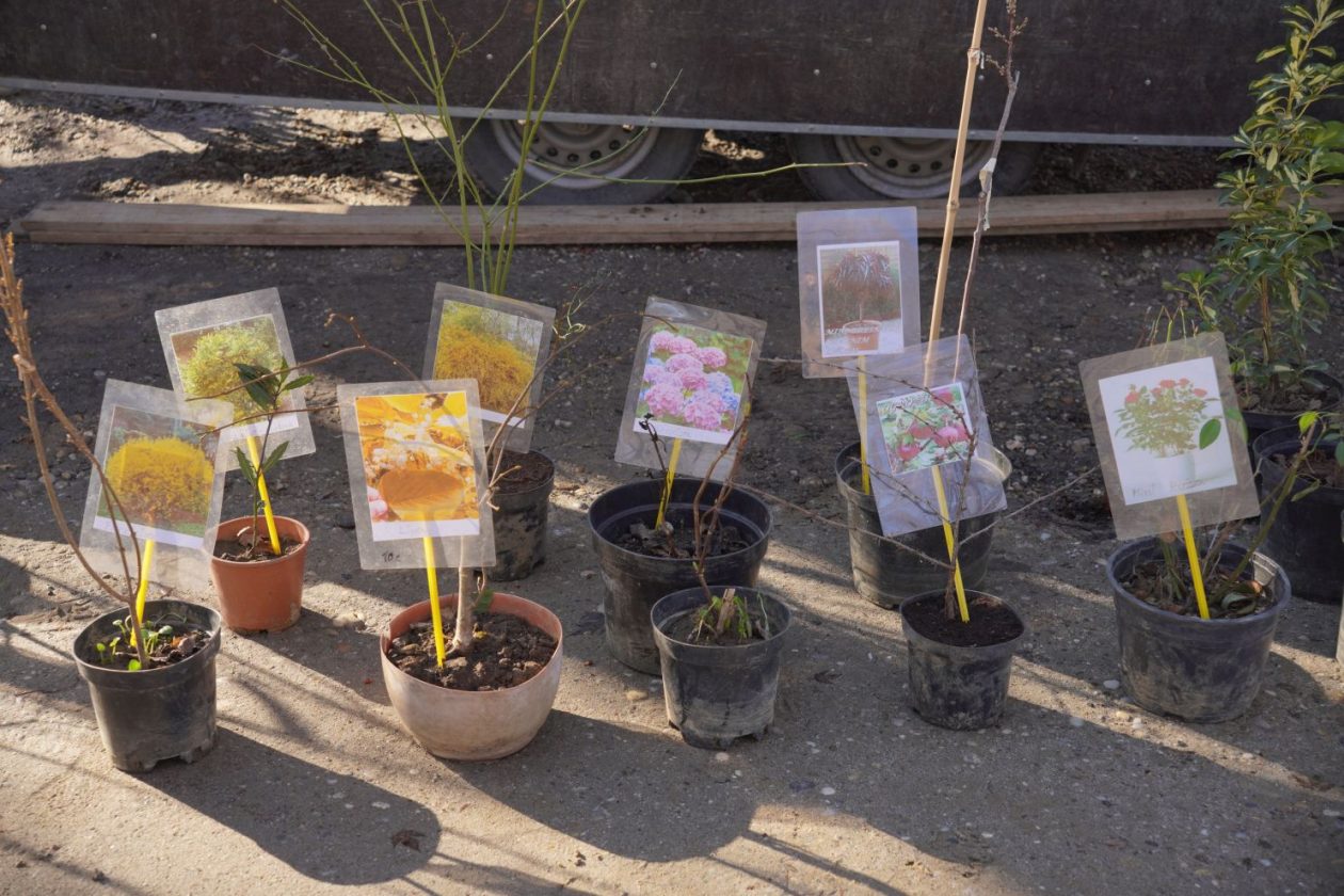 Sajam srijedom 25.2.2026 (24)