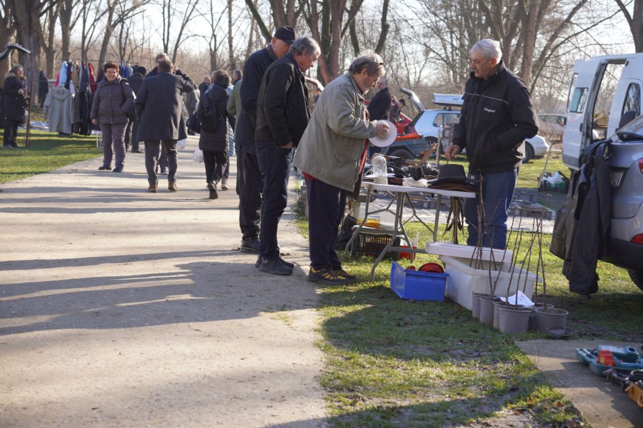 Sajam srijedom 25.2.2026 (33)