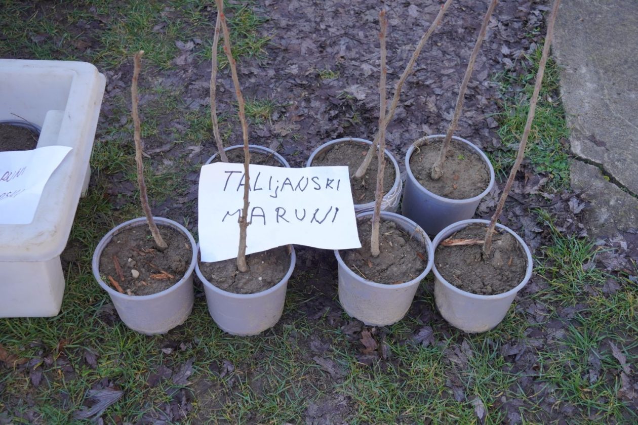 Sajam srijedom 25.2.2026 (38)